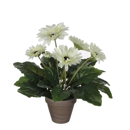 Gerbera d30h35cm wit (Zijde-plant)