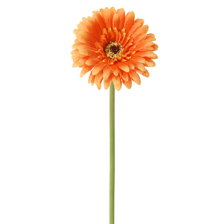 Gerbera h58cm (Zijde-bloem)