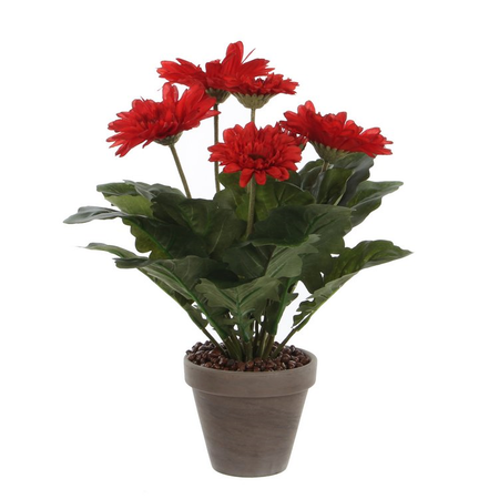 Gerbera in pot d30h35cm rood  (Zijde-plant)