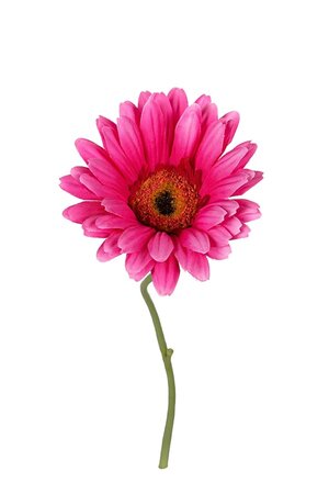 Gerbera l32cm cerise