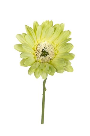 Gerbera l32cm groen