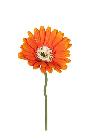 Gerbera l32cm oranje