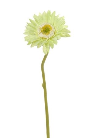 Gerbera steel klein l28cm groen