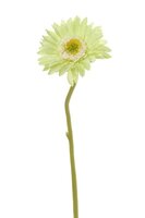 Gerbera steel klein l28cm groen