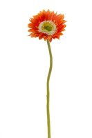 Gerbera steel klein l28cm oranje