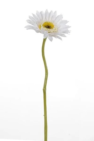 Gerbera steel klein l28cm wit