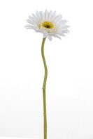 Gerbera steel klein l28cm wit