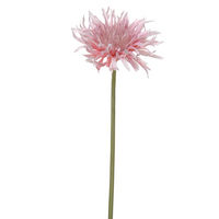 Gerbera wildsteel l50cm roze