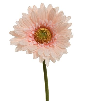 Gerberasteel d10h50cm perzik