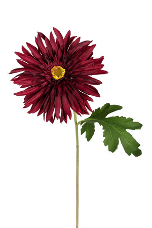 Gerberasteel l60cm burgundy