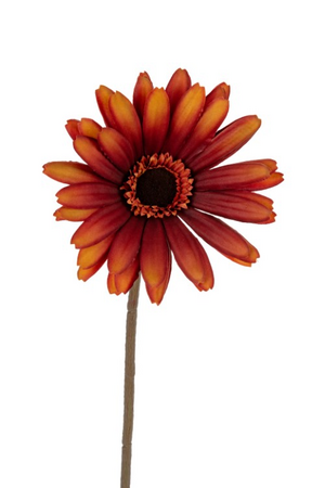 Gerberasteel l60cm oranje