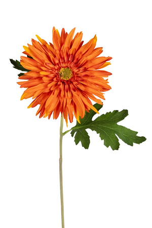Gerberasteel l60cm oranje