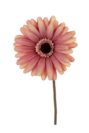 Gerberasteel l60cm oud roze