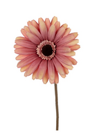 Gerberasteel l60cm oud roze