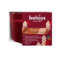 Geurglas d9h6cm 20u tg w.spices