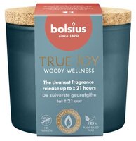 Geurglas tj 21u woody wellness