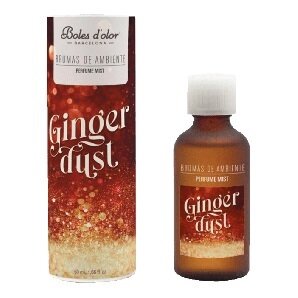 Geurolie 50ml ginger dust