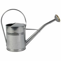 Gieter metaal verzinkt 2l - afbeelding 1