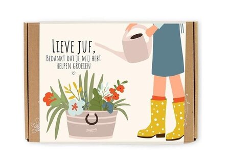 Giftbox lieve juf m/zaden bloemen 7st