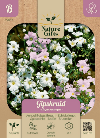 Gipskruid elegans mengsel 60st