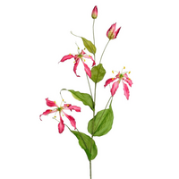 Gloriosasteel l113cm d.roze