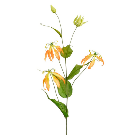 Gloriosasteel l113cm geel