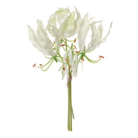 Gloriosax4 bundel h20cm creme