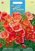 Godetia whitney salmon 0.75gram - afbeelding 4