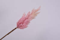 Graspluimsteel l86cm roze (Zijde-tak)