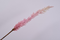 Graspluimsteel l99cm roze (Zijde-tak) - afbeelding 1