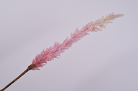 Graspluimsteel l99cm roze (Zijde-tak) - afbeelding 2