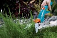 Grasscharen 8731 - afbeelding 2