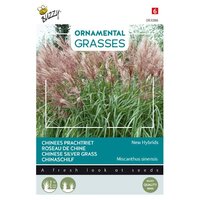 Grasses miscanthus neue hybriden