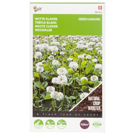 Groenbemester klaver wit 100gram - afbeelding 1