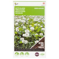 Groenbemester klaver wit 100gram