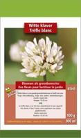 Groenbemester klaver wit 100gram - afbeelding 2