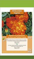 Groenbemester tagetes 50gram - afbeelding 2
