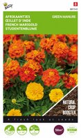Groenbemester tagetes 50gram