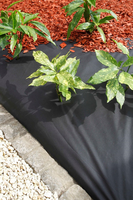 Grondbedekkingsvlies h1b10m zwart - afbeelding 2