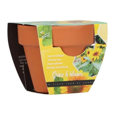 Grow gifts zonnebloem 30st.