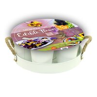 Grow your own 6 edible flowers