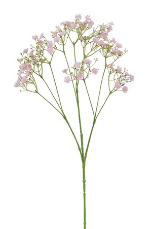 Gypsophila steel l70cm roze