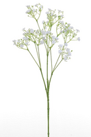 Gypsophila steel l70cm wit