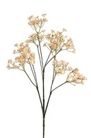 Gypsophilasteel l70cm beige