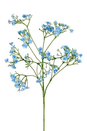 Gypsophilasteel l70cm blauw