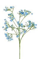 Gypsophilasteel l70cm blauw