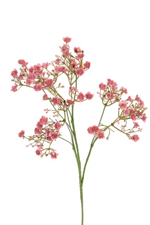 Gypsophilasteel l70cm oud roze