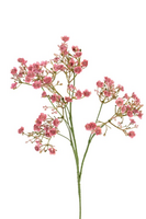 Gypsophilasteel l70cm oud roze