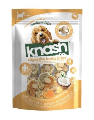 H.snack bites diges.pump/ging.100g