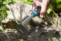 Handhakje hartvormig blad 2 tand - afbeelding 2